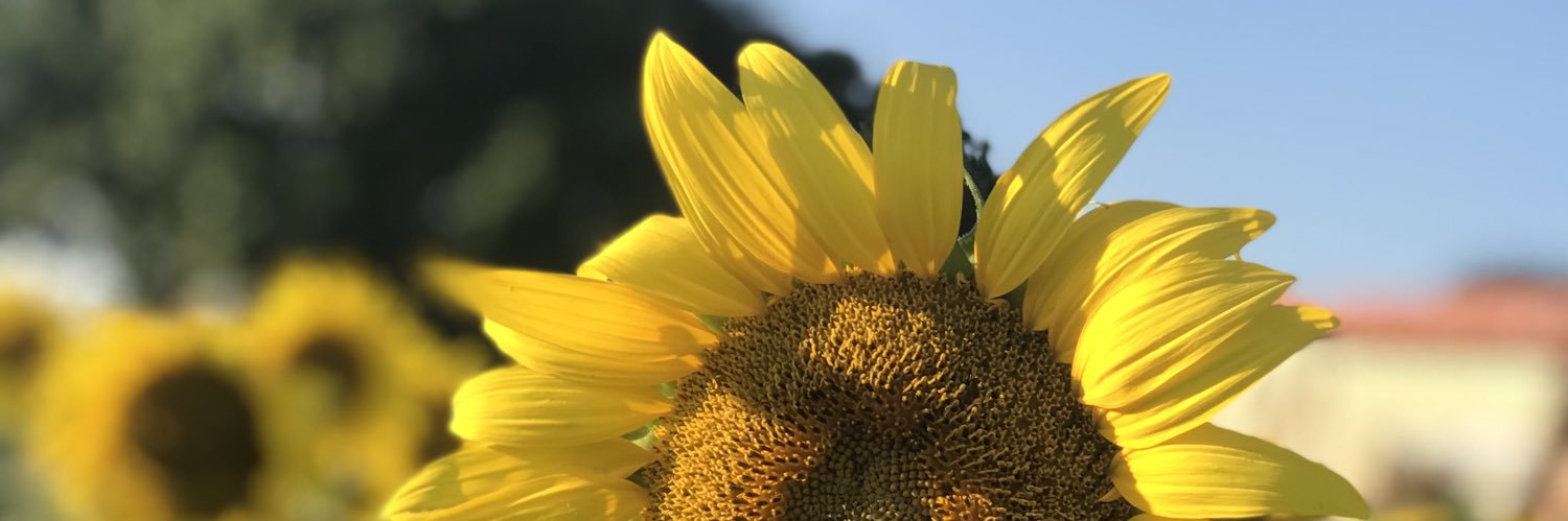 Heyibiii's profile banner image
