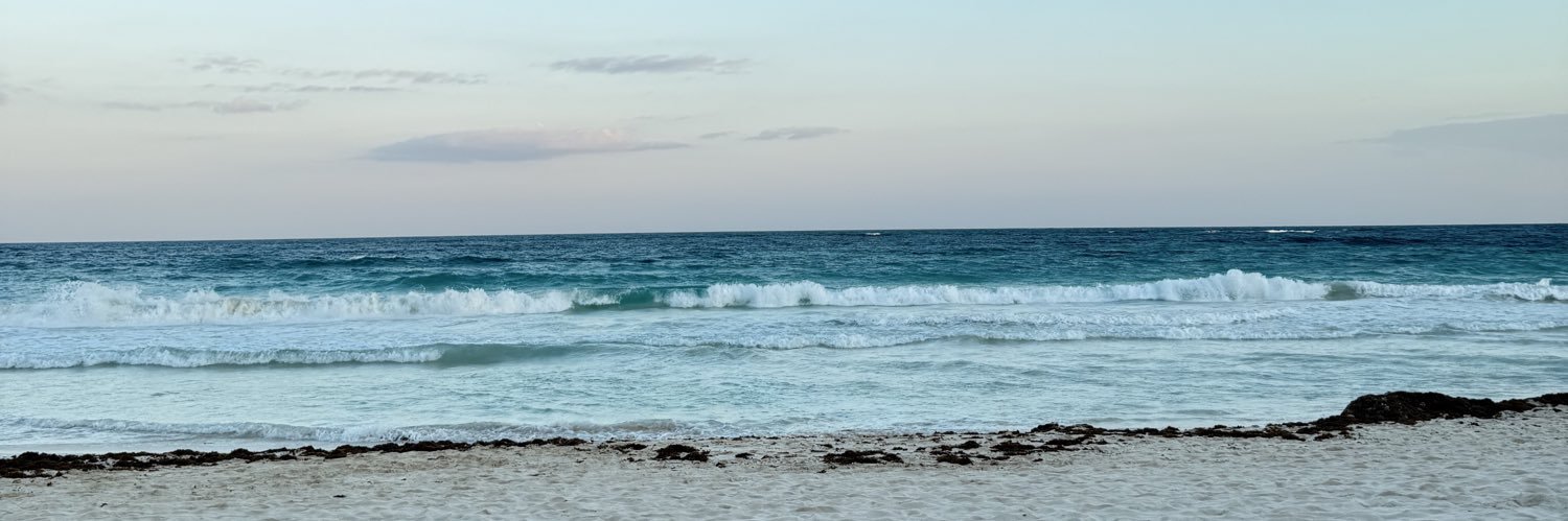 montse con t banner