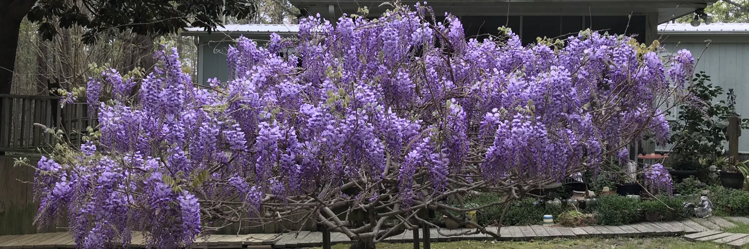 Hayden Crouch 🐺33⚔️ banner