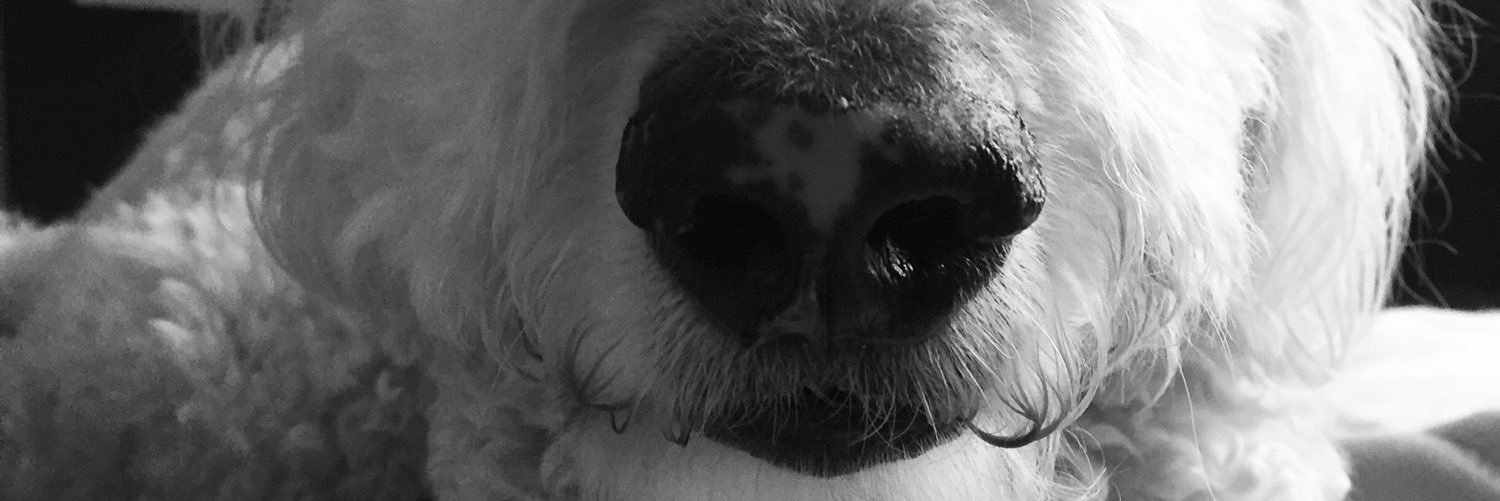 SteveK716's profile banner image