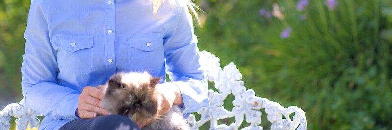 SarahHarris818's profile banner image