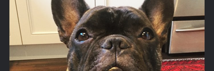 katherineshepp's profile banner image