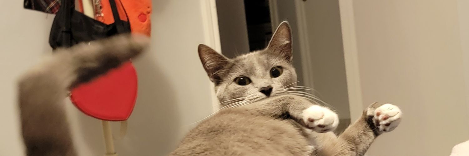 ohsnapitzvane_'s profile banner image