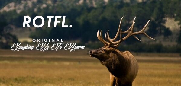 RotflCloth's profile banner image