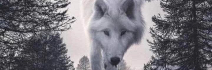 GiouliMar's profile banner image