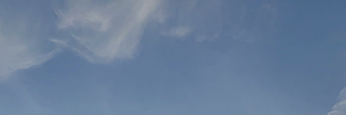 acamillewp's profile banner image