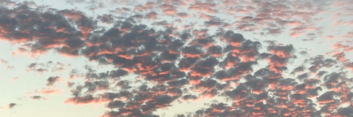 stevbrad's profile banner image