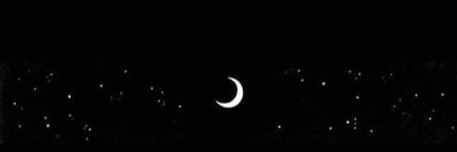 nsreen10455447's profile banner image