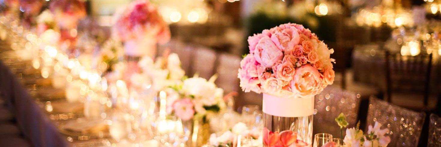 Jennifer Zabinski banner