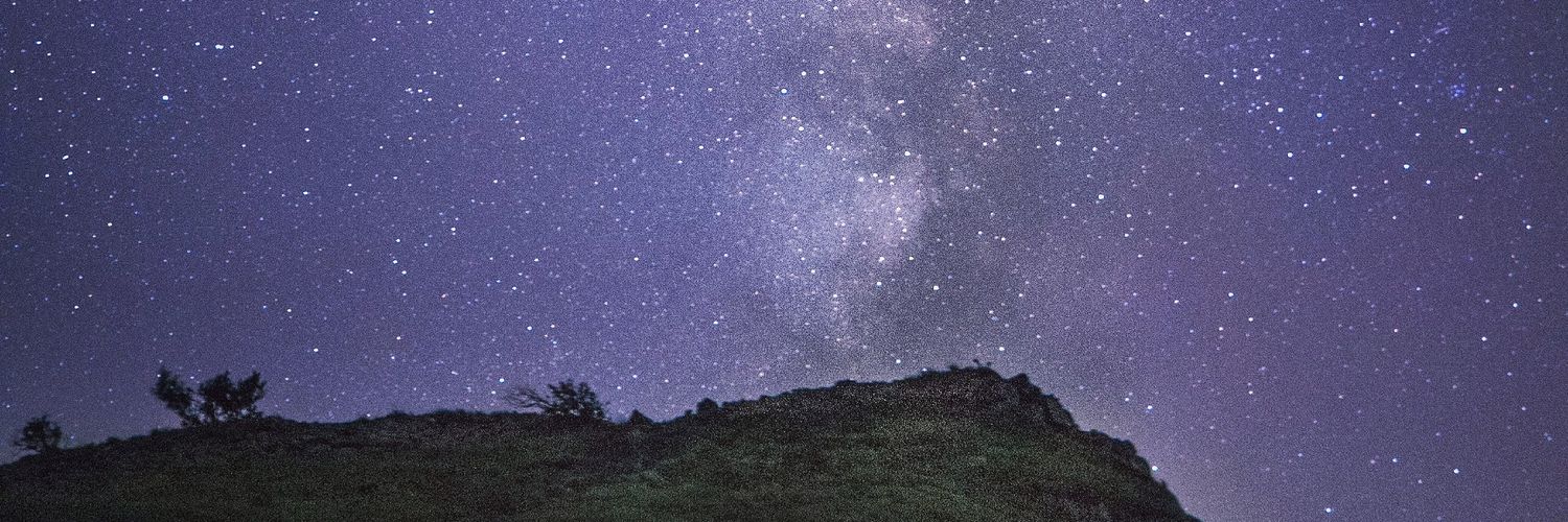 MSuslic's profile banner image