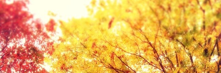 c__room's profile banner image