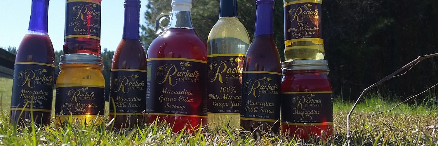RachelsVineyard's profile banner image