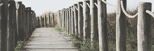 SJenksNYCD's profile banner image