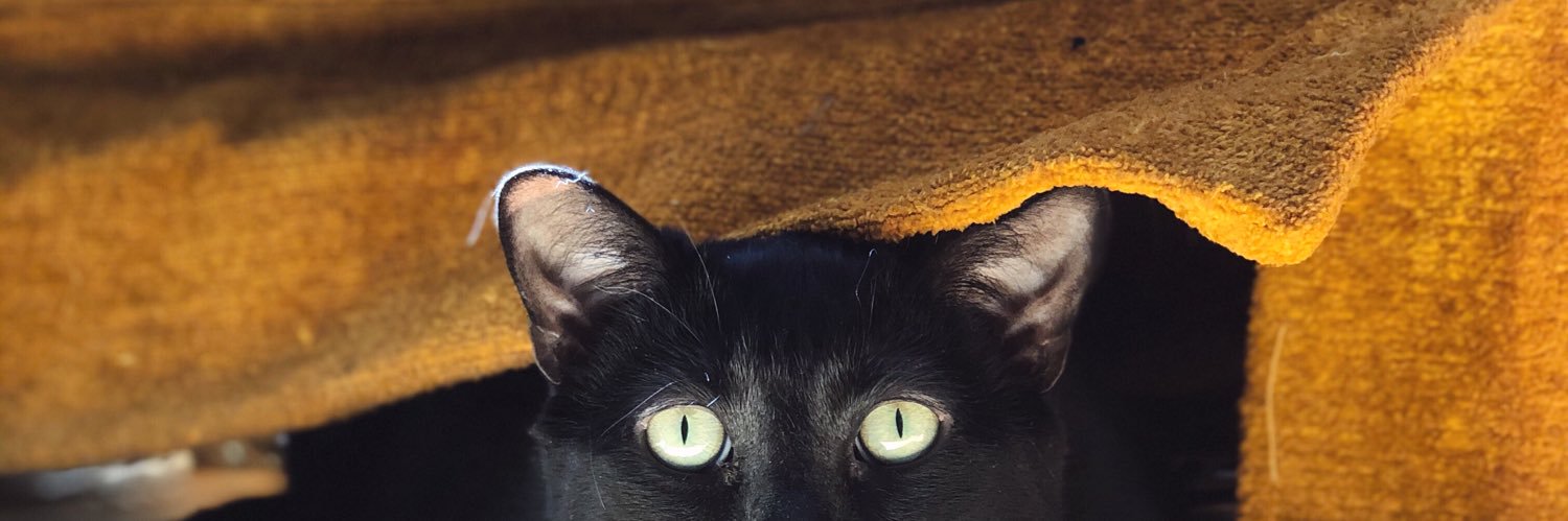 ✿ Kʀɪs ✿ banner