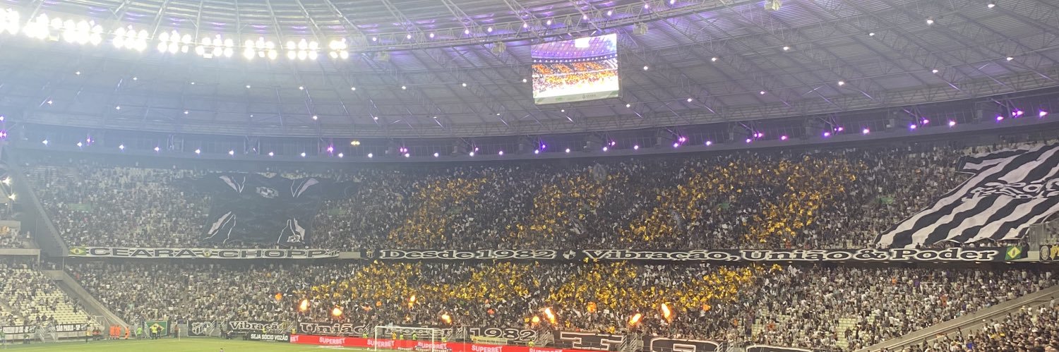 Erica Silva 🖤 banner