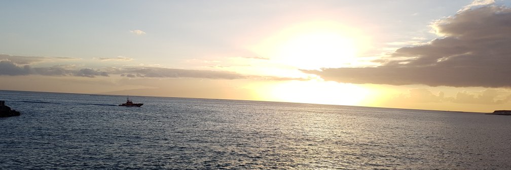 Michi1986's profile banner image