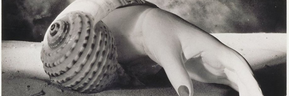 Naomi Obeng 🌱 banner