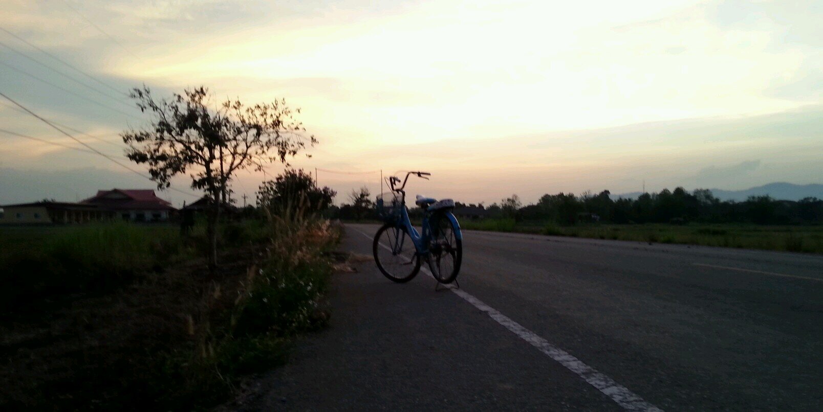 itim_timi banner