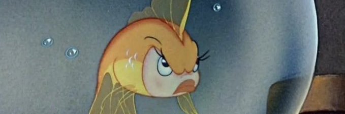 seleavilaaa's profile banner image