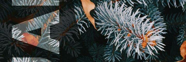 ondara_bon's profile banner image