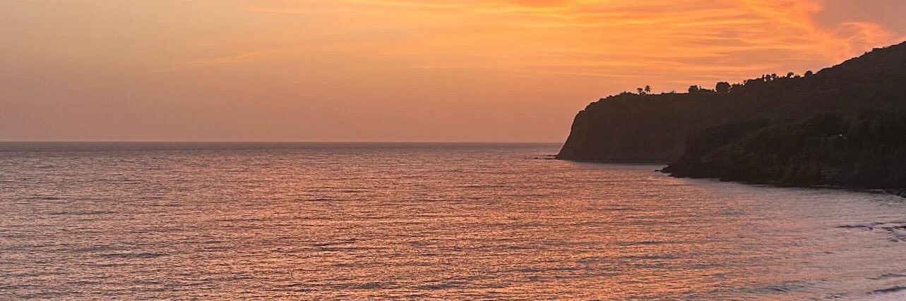 A. banner