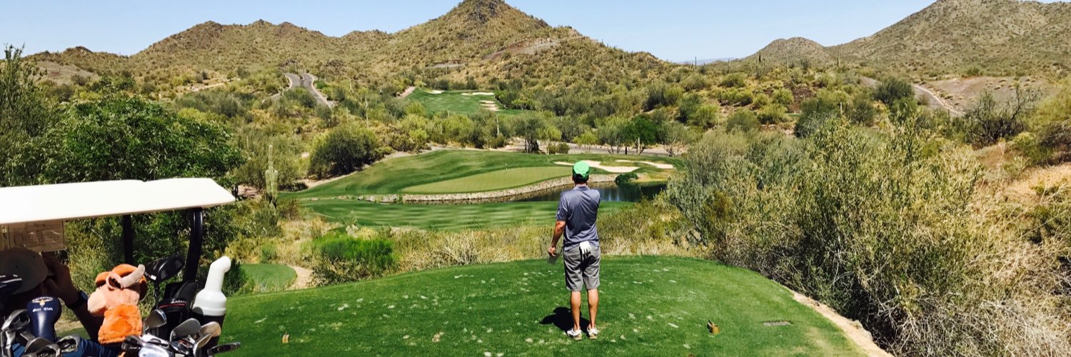 thecowtownkid banner