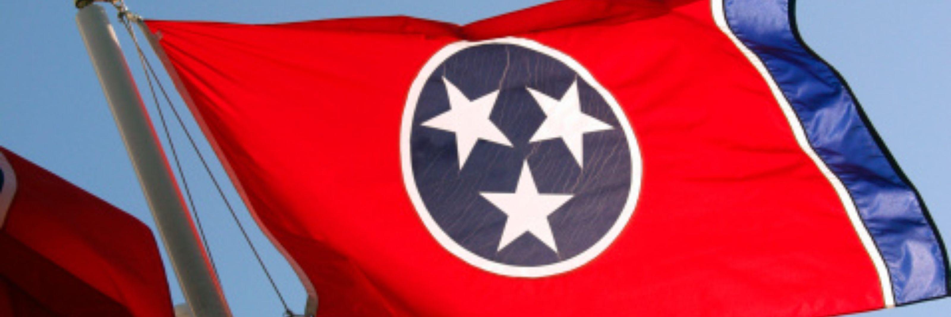 Amy Blaylock New banner