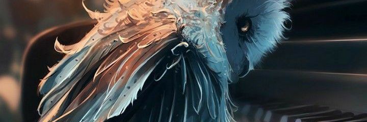 Blankoster's profile banner image