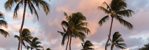 _CRBNR1's profile banner image
