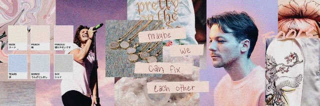 leyla 🇨🇱 banner