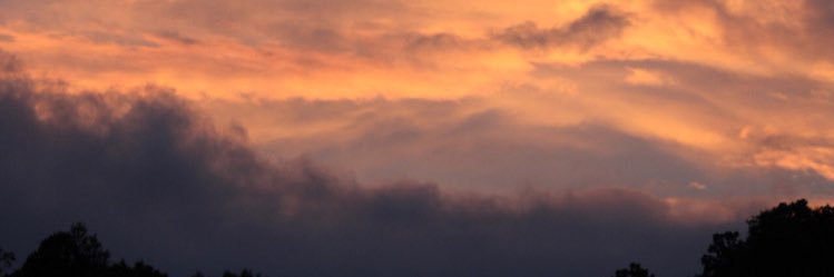 Scott 𐤊 banner