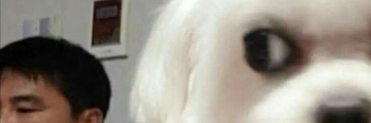 brlmrgs's profile banner image
