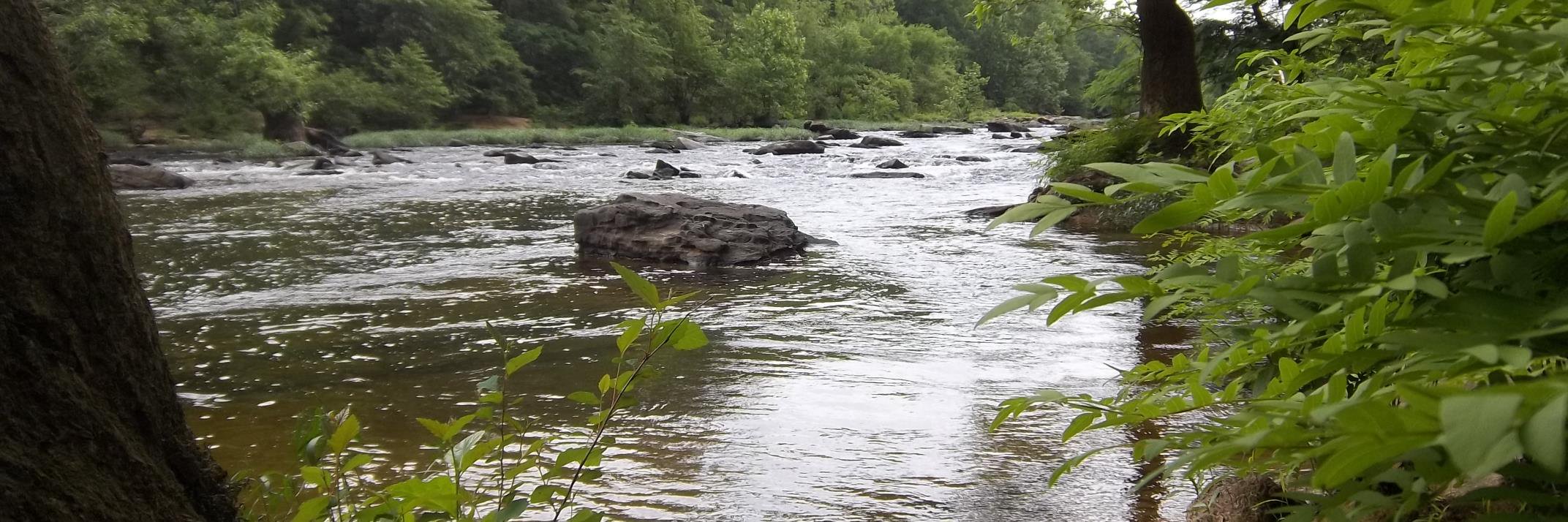 Simply Fishing banner