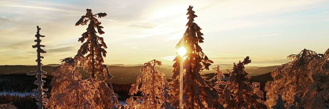 isaklieback's profile banner image