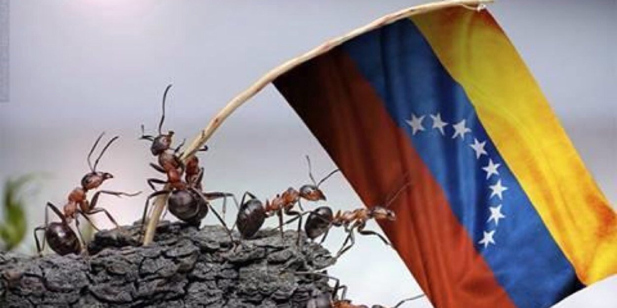 mechegomontes's profile banner image