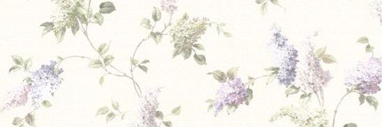 imimalia's profile banner image