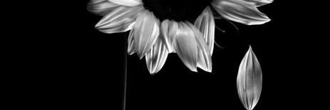 ogzz_z's profile banner image