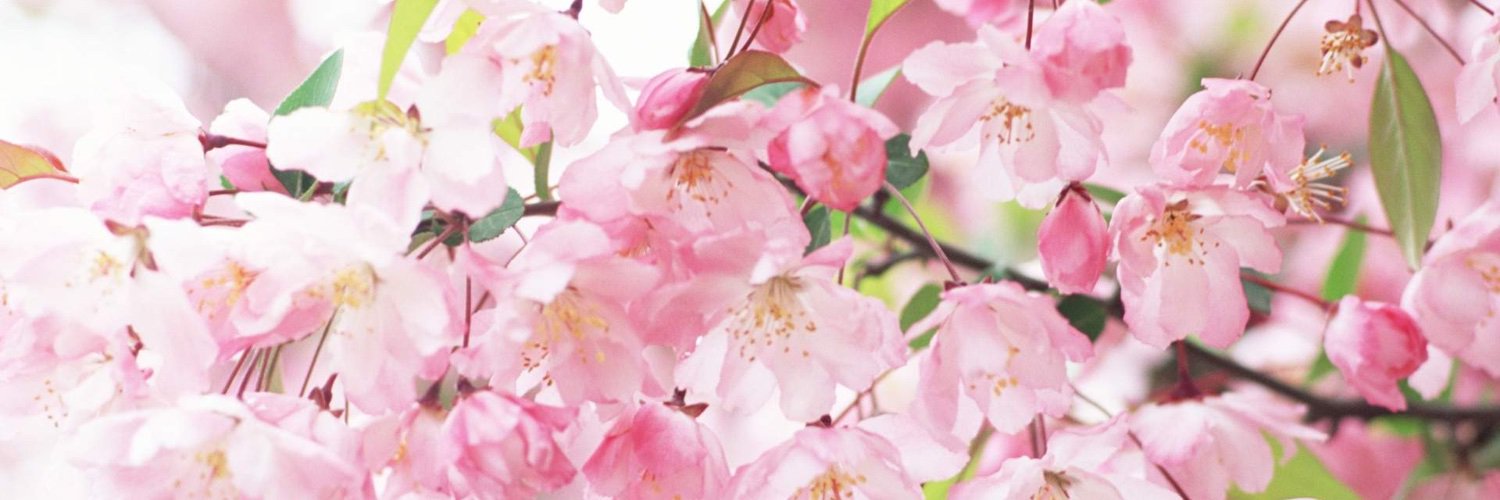 RobeenFayed's profile banner image