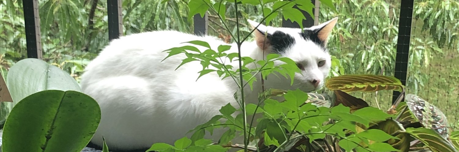 M_A_Spiro's profile banner image