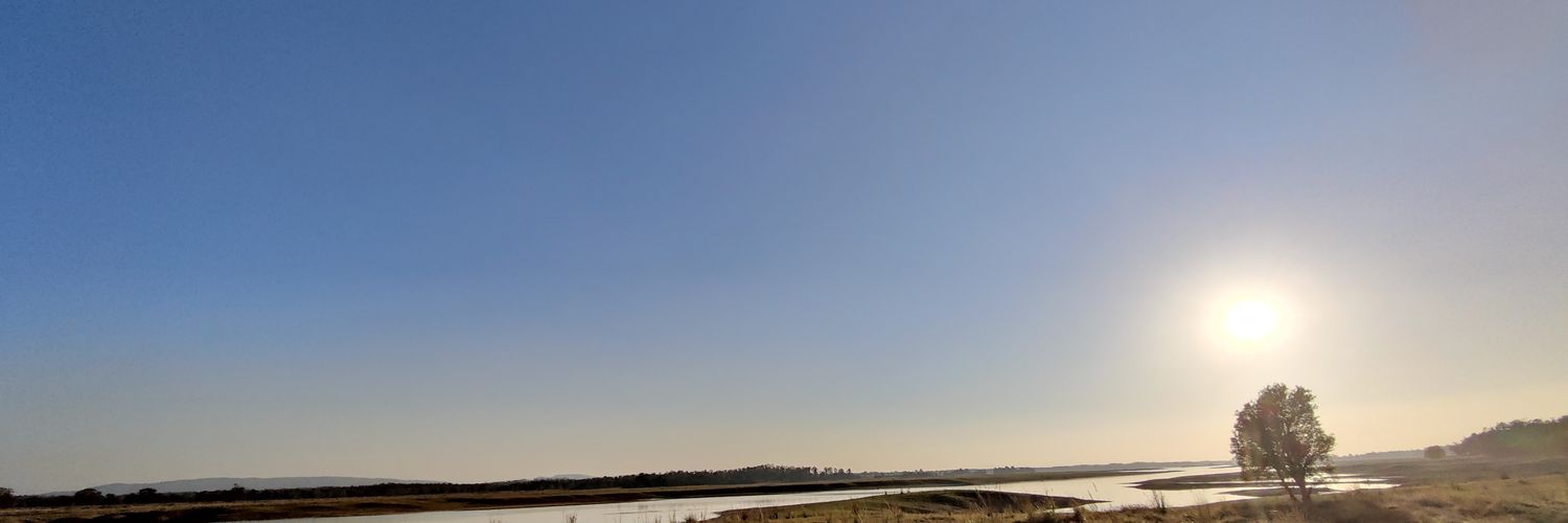 neoankit13's profile banner image