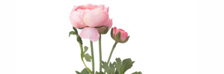 000123w's profile banner image