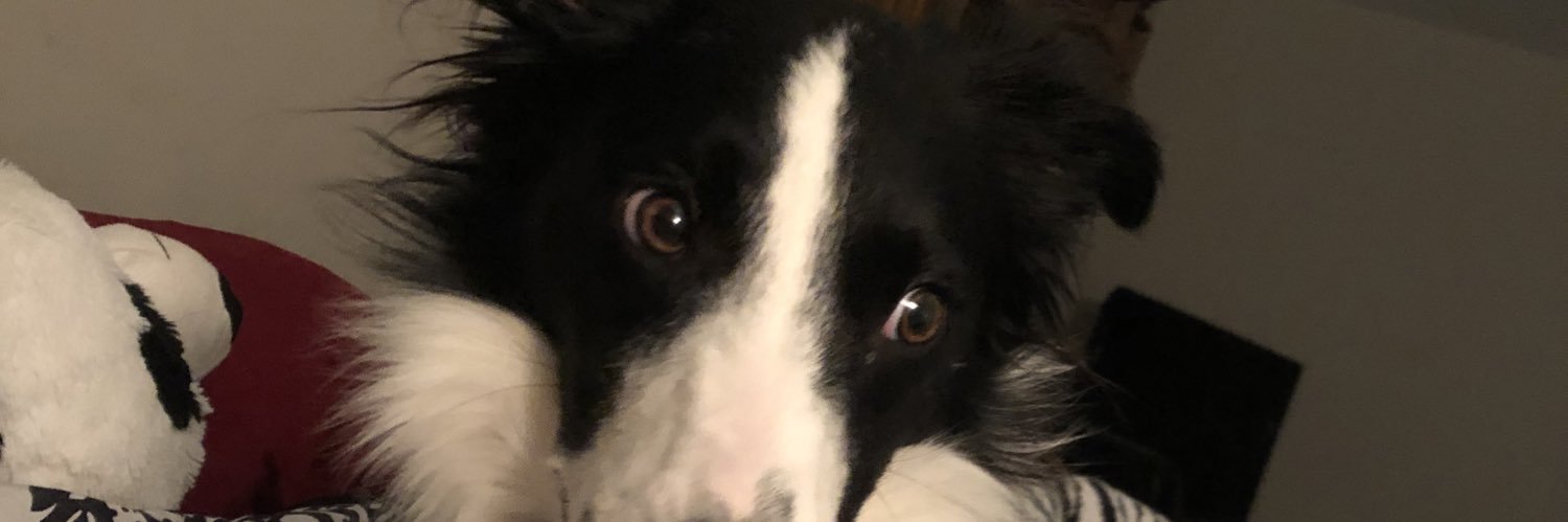 Bethany_Baggins's profile banner image