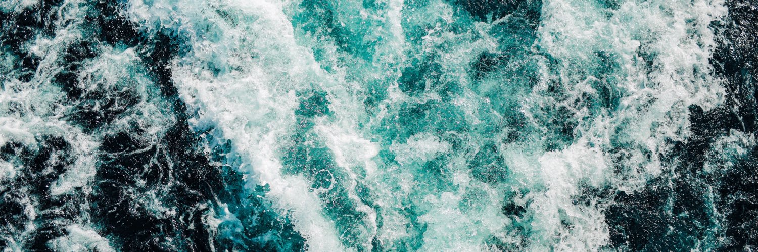流木 banner
