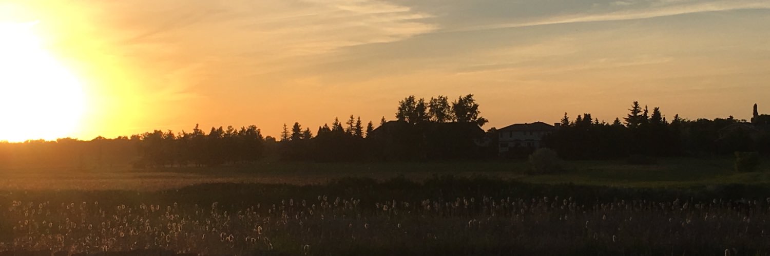 Jeff Linner banner