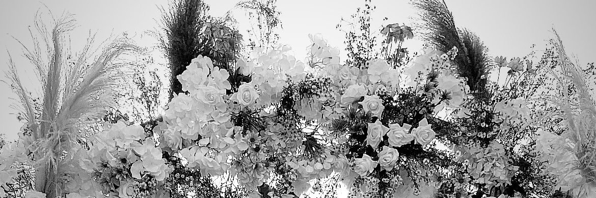 itsme.Mikeyyy banner