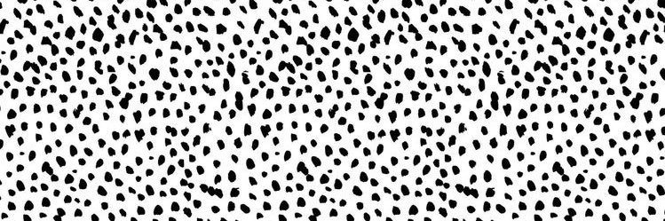 Amber-Rose ⚡️ banner