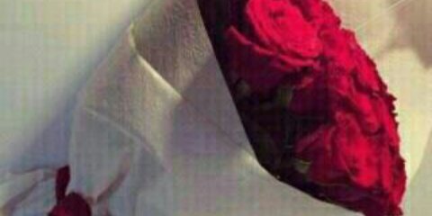 yhhhd667's profile banner image