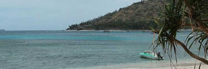 intanpratama's profile banner image