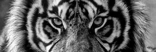 ba_marshall's profile banner image