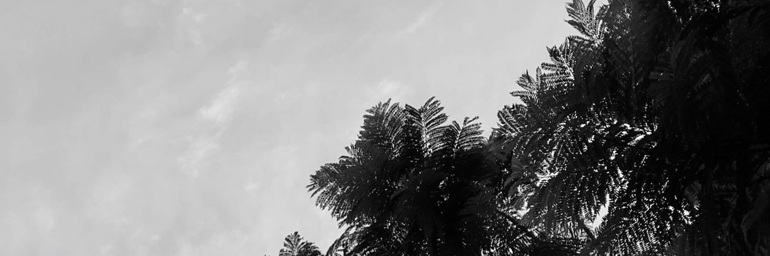 FlorenciaFox's profile banner image